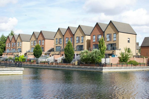 Guide pratique pour l'achat de plantes d'extérieur