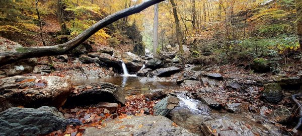 Quelle marque fabrique les meilleures chaudières à basse température pour réduire la consommation de gaz?