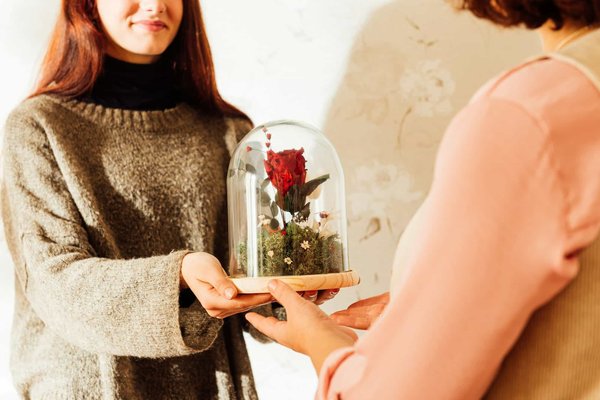 Collection élégante de roses éternelles sous cloche